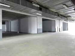 E C One (D22), Factory #566761931